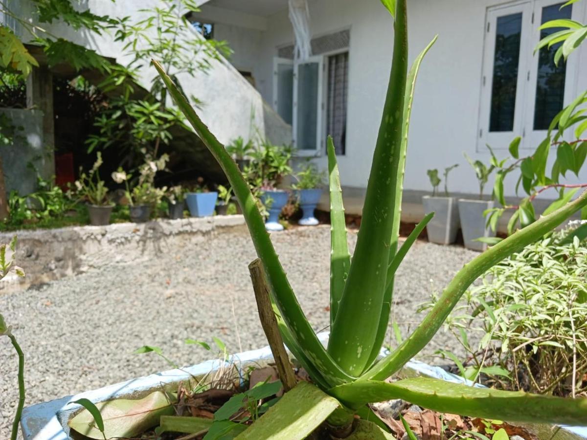 Villa Diamond Nest Unawatuna Zewnętrze zdjęcie